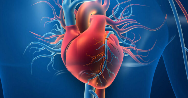 The Latest Advancements in Cardiovascular Treatments